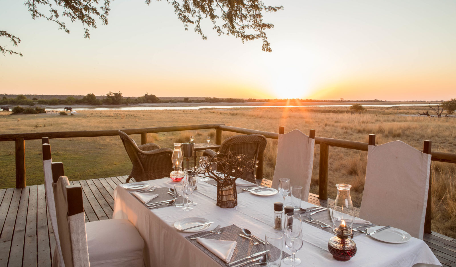 Chobe Savanna Lodge thumbnail 8